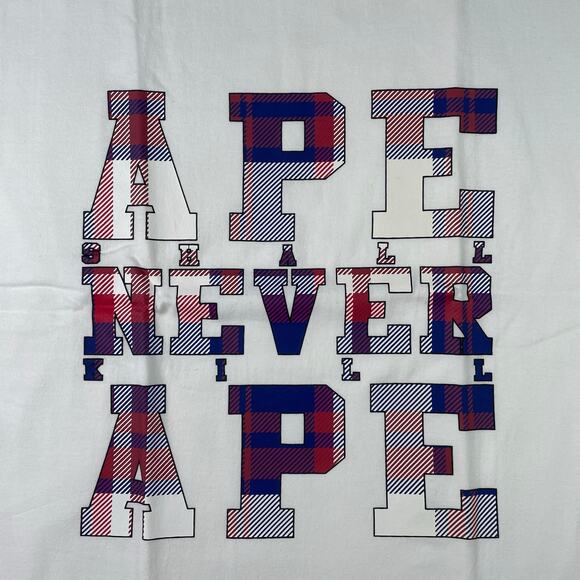 OG BAPE A.S.N.K.A Check Tee Size L - Picture 3 of 8